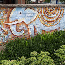 Elephants